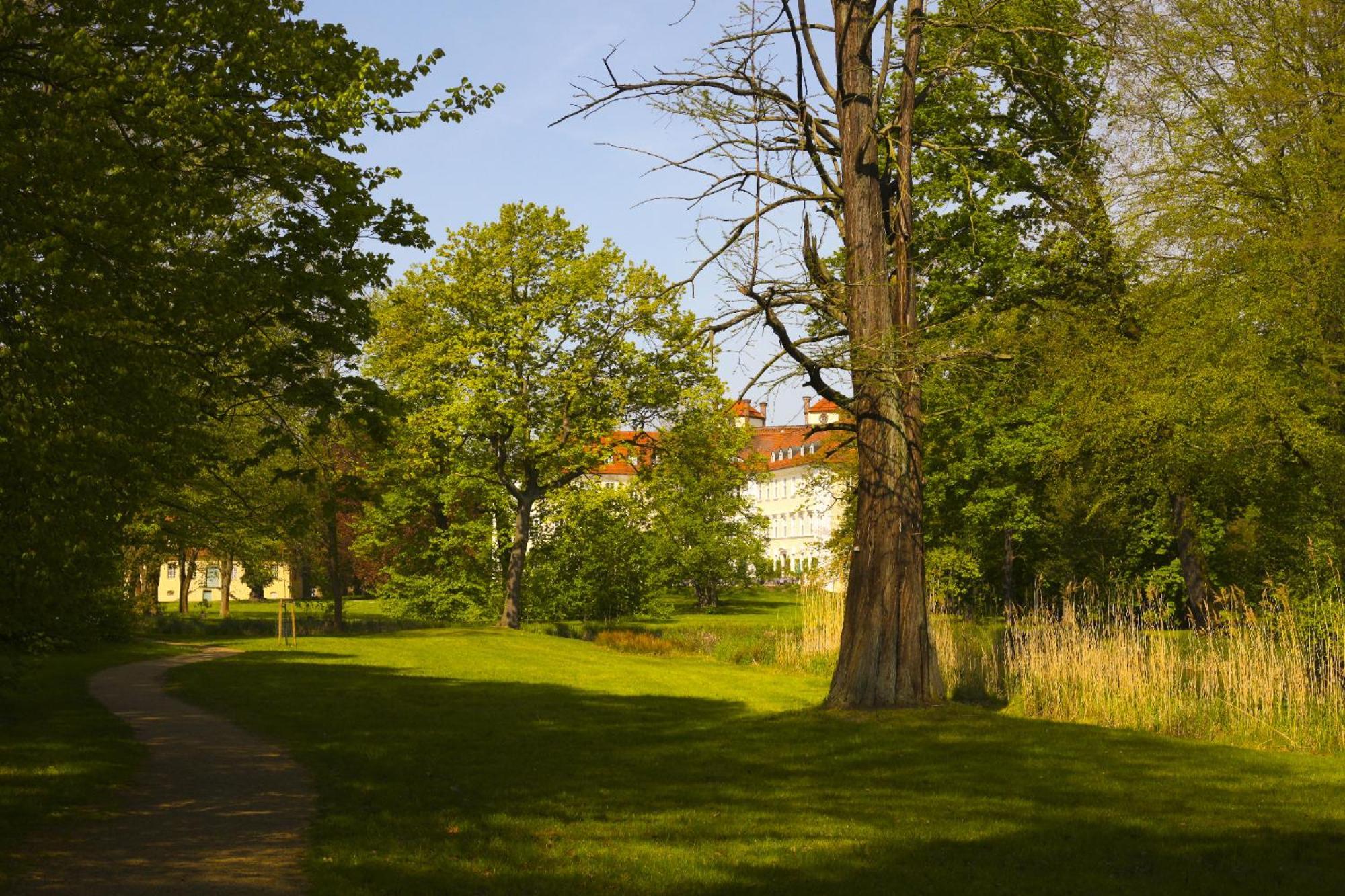 Schloss لوبنو المظهر الخارجي الصورة